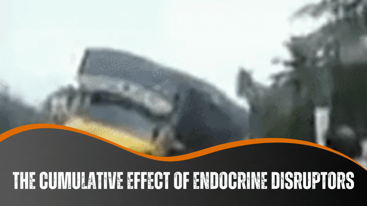 The Cumulative Effect Of Endocrine Disruptors